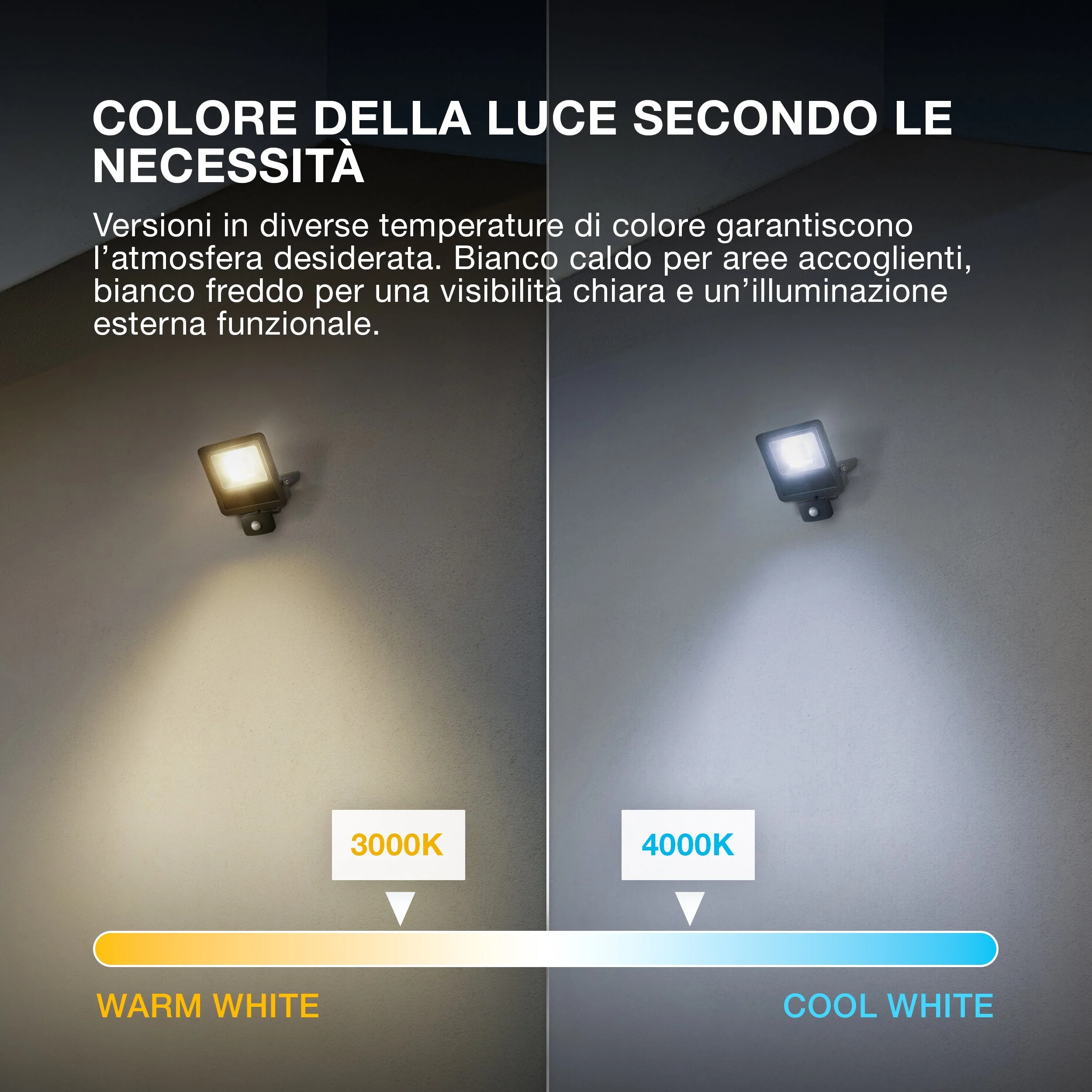 Immagine prodotto 6